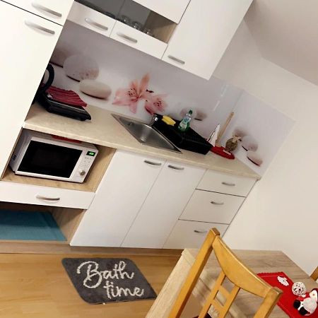 Apartments And Wellness Scavnicar Ljutomer Εξωτερικό φωτογραφία