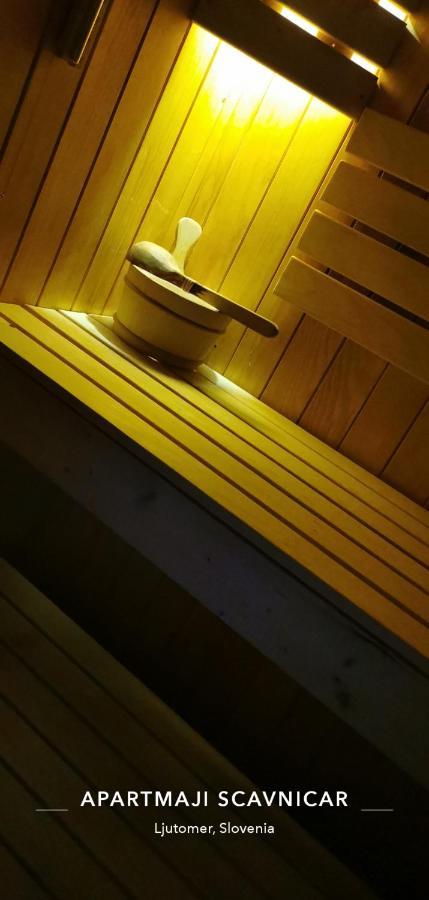 Apartments And Wellness Scavnicar Ljutomer Εξωτερικό φωτογραφία