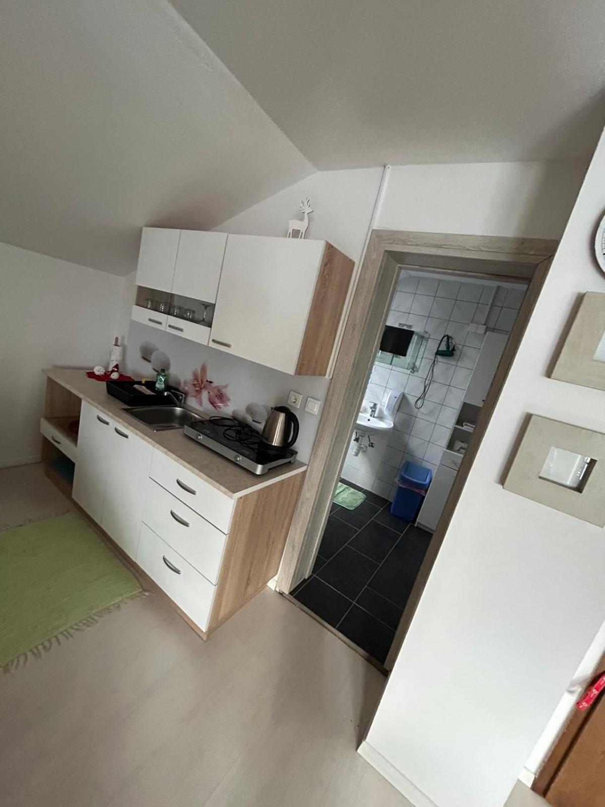 Apartments And Wellness Scavnicar Ljutomer Εξωτερικό φωτογραφία