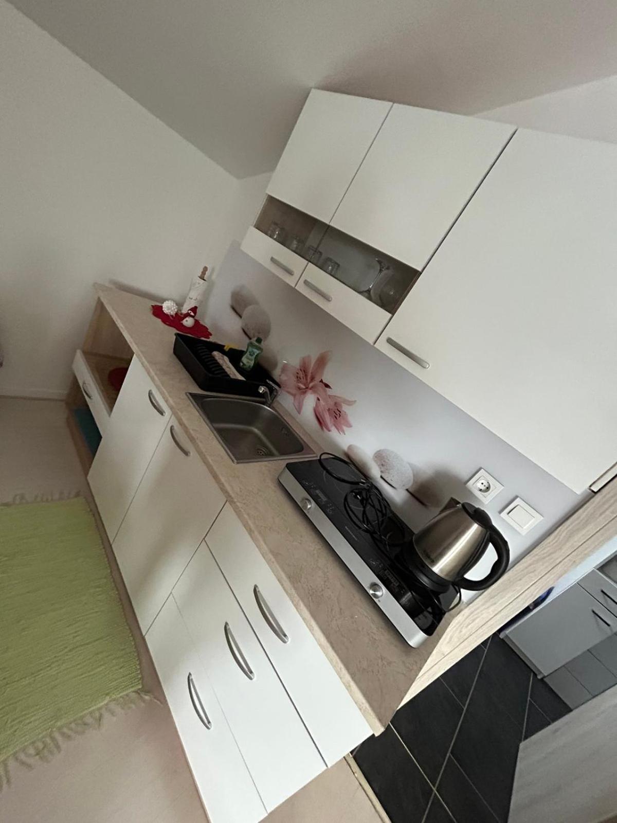 Apartments And Wellness Scavnicar Ljutomer Εξωτερικό φωτογραφία